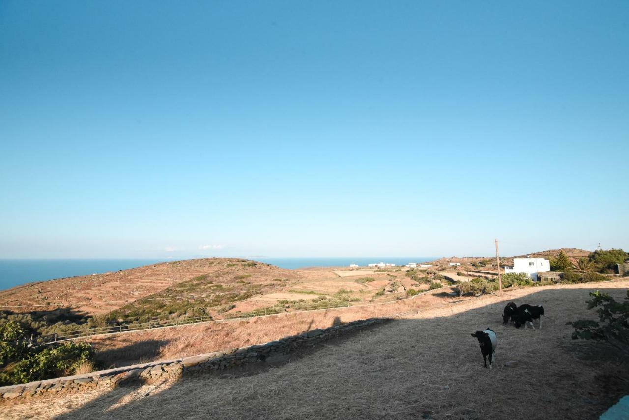 הוילה Exámbela Grey House מראה חיצוני תמונה
